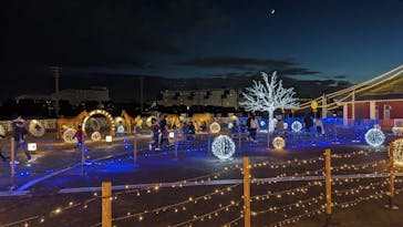 東京メガイルミに投稿された画像（2022/11/27）