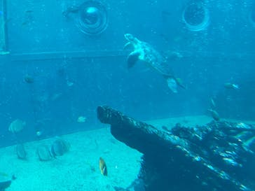 箱根園水族館に投稿された画像（2022/11/27）