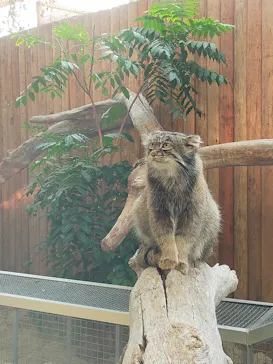 神戸どうぶつ王国に投稿された画像（2022/11/27）