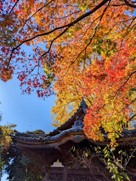 三溪園に投稿された画像（2022/11/27）