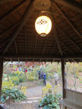 三溪園に投稿された画像（2022/11/27）