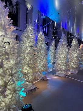 梅田スカイビル・空中庭園展望台に投稿された画像（2022/11/27）