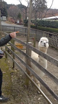 阿蘇カドリー・ドミニオンに投稿された画像（2022/11/27）