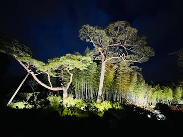 国営昭和記念公園 秋の夜散歩に投稿された画像（2022/11/27）