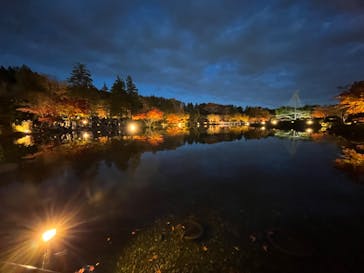 国営昭和記念公園 秋の夜散歩に投稿された画像（2022/11/27）