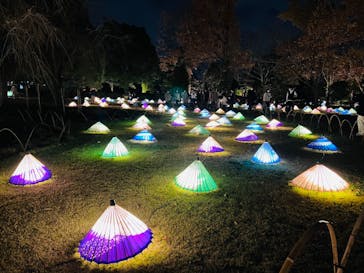 国営昭和記念公園 秋の夜散歩に投稿された画像（2022/11/27）