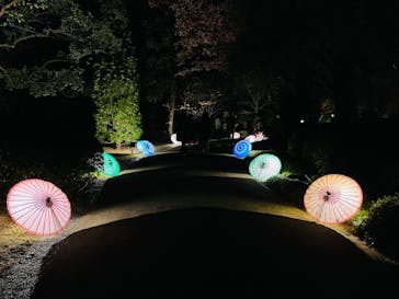 国営昭和記念公園 秋の夜散歩に投稿された画像（2022/11/27）