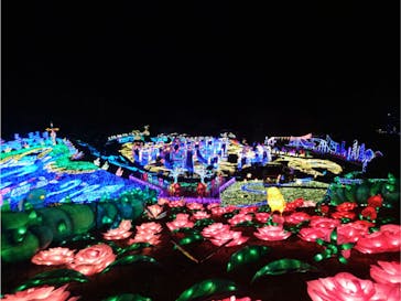 伊豆ぐらんぱる公園に投稿された画像（2022/11/27）