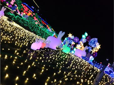伊豆ぐらんぱる公園に投稿された画像（2022/11/27）