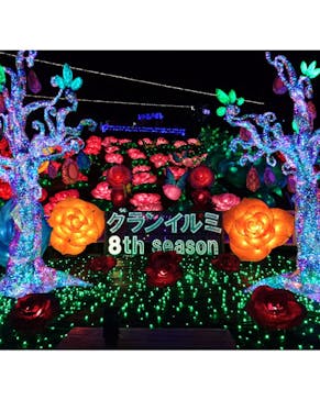 伊豆ぐらんぱる公園に投稿された画像（2022/11/27）