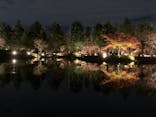 国営昭和記念公園 秋の夜散歩に投稿された画像（2022/11/27）