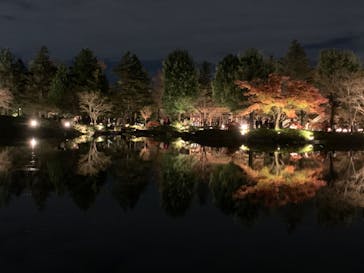 国営昭和記念公園 秋の夜散歩に投稿された画像（2022/11/27）