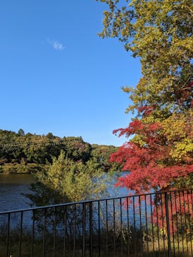 ムーミンバレーパークに投稿された画像（2022/11/27）