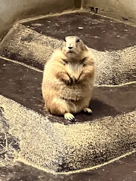 ひらかたパークに投稿された画像（2022/11/27）