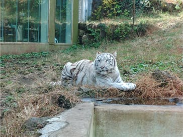 伊豆アニマルキングダムに投稿された画像（2022/11/27）