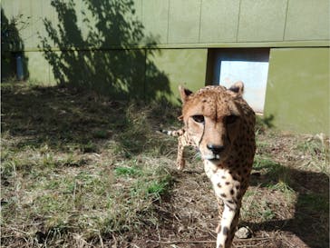 伊豆アニマルキングダムに投稿された画像（2022/11/27）