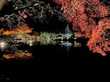 国営昭和記念公園 秋の夜散歩に投稿された画像（2022/11/27）