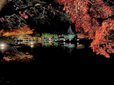 国営昭和記念公園 秋の夜散歩に投稿された画像（2022/11/27）