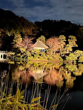 三溪園に投稿された画像（2022/11/27）