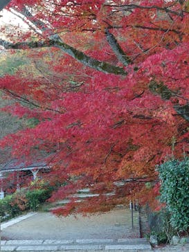 博物館 明治村に投稿された画像（2022/11/27）
