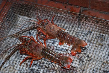 海女小屋体験施設さとうみ庵に投稿された画像（2022/11/27）