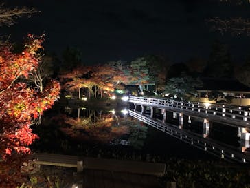 国営昭和記念公園 秋の夜散歩に投稿された画像（2022/11/27）