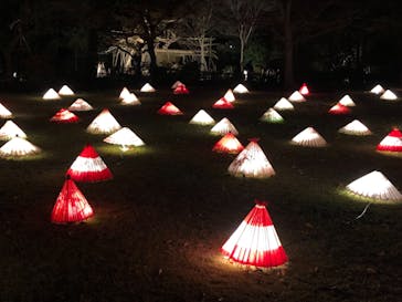 国営昭和記念公園 秋の夜散歩に投稿された画像（2022/11/27）