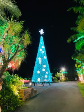 美らヤシパークオキナワ・東南植物楽園に投稿された画像（2022/11/27）