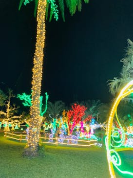 美らヤシパークオキナワ・東南植物楽園に投稿された画像（2022/11/27）