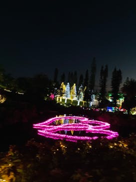 美らヤシパークオキナワ・東南植物楽園に投稿された画像（2022/11/27）