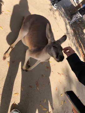 神戸どうぶつ王国に投稿された画像（2022/11/27）