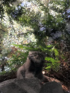 神戸どうぶつ王国に投稿された画像（2022/11/27）