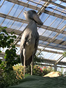 神戸どうぶつ王国に投稿された画像（2022/11/27）