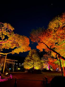 NAKEDヨルモウデ2022平安神宮に投稿された画像（2022/11/27）