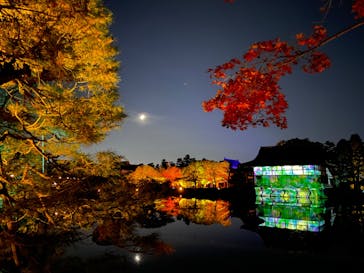 NAKEDヨルモウデ2022平安神宮に投稿された画像（2022/11/27）