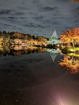 国営昭和記念公園 秋の夜散歩に投稿された画像（2022/11/27）