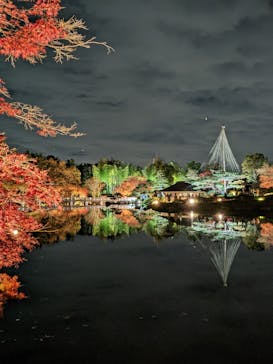 国営昭和記念公園 秋の夜散歩に投稿された画像（2022/11/27）