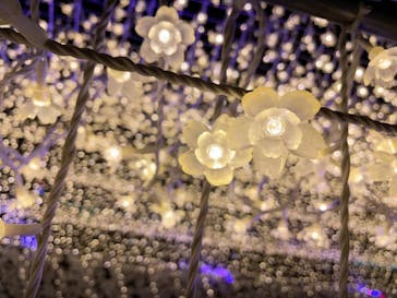 東京メガイルミに投稿された画像（2022/11/27）