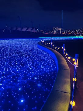 東京メガイルミに投稿された画像（2022/11/27）