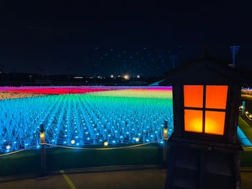 東京メガイルミに投稿された画像（2022/11/27）