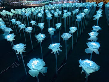 東京メガイルミに投稿された画像（2022/11/27）