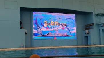 横浜・八景島シーパラダイスに投稿された画像（2022/11/27）