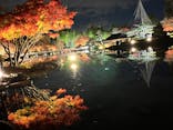 国営昭和記念公園 秋の夜散歩に投稿された画像（2022/11/27）