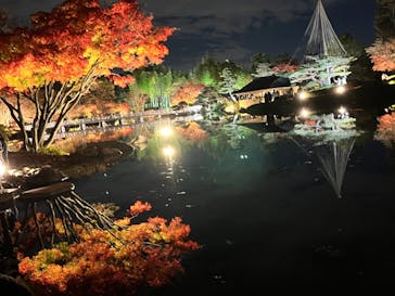 国営昭和記念公園 秋の夜散歩に投稿された画像（2022/11/27）