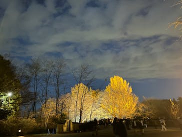 国営昭和記念公園 秋の夜散歩に投稿された画像（2022/11/27）