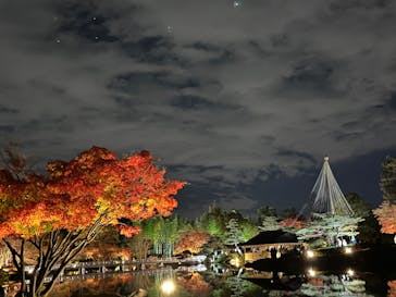 国営昭和記念公園 秋の夜散歩に投稿された画像（2022/11/27）