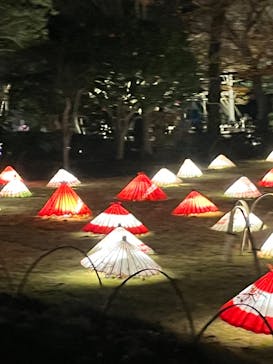 国営昭和記念公園 秋の夜散歩に投稿された画像（2022/11/27）