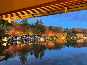 国営昭和記念公園 秋の夜散歩に投稿された画像（2022/11/27）