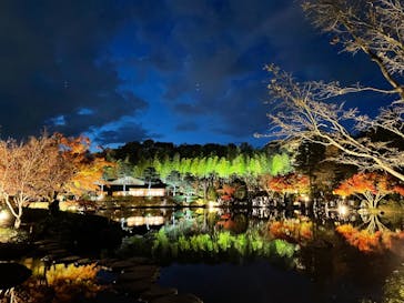 国営昭和記念公園 秋の夜散歩に投稿された画像（2022/11/27）