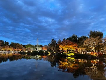 国営昭和記念公園 秋の夜散歩に投稿された画像（2022/11/27）